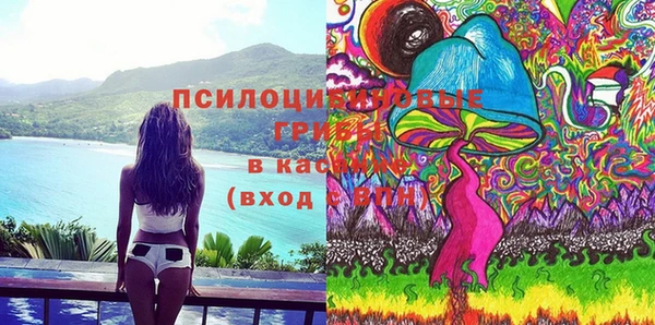 МДМА Няндома