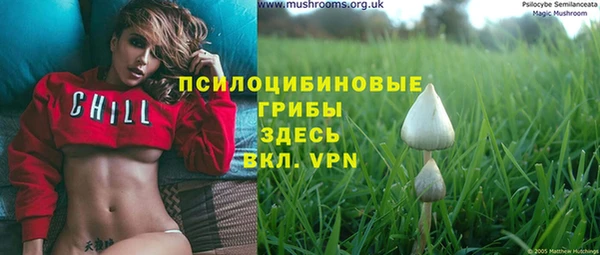 MESCALINE Нязепетровск